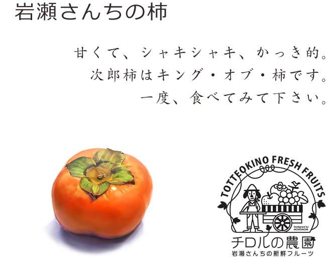 岩瀬さんちの柿